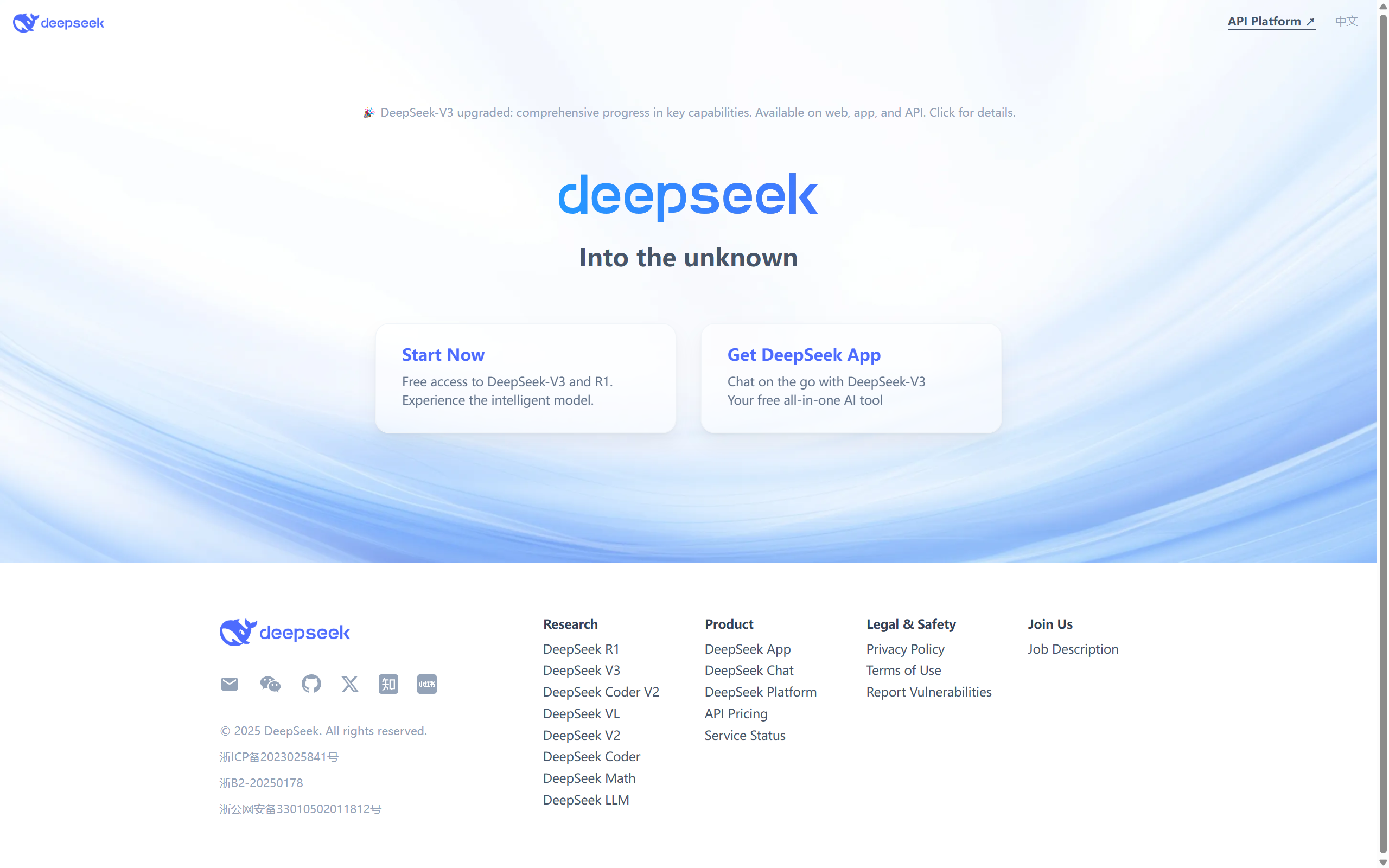 Deepseek Interface