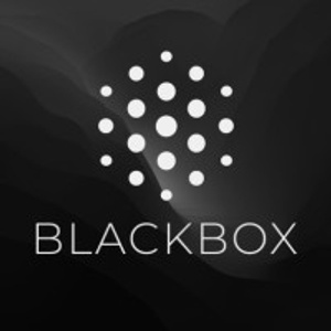 BlackBox_AI