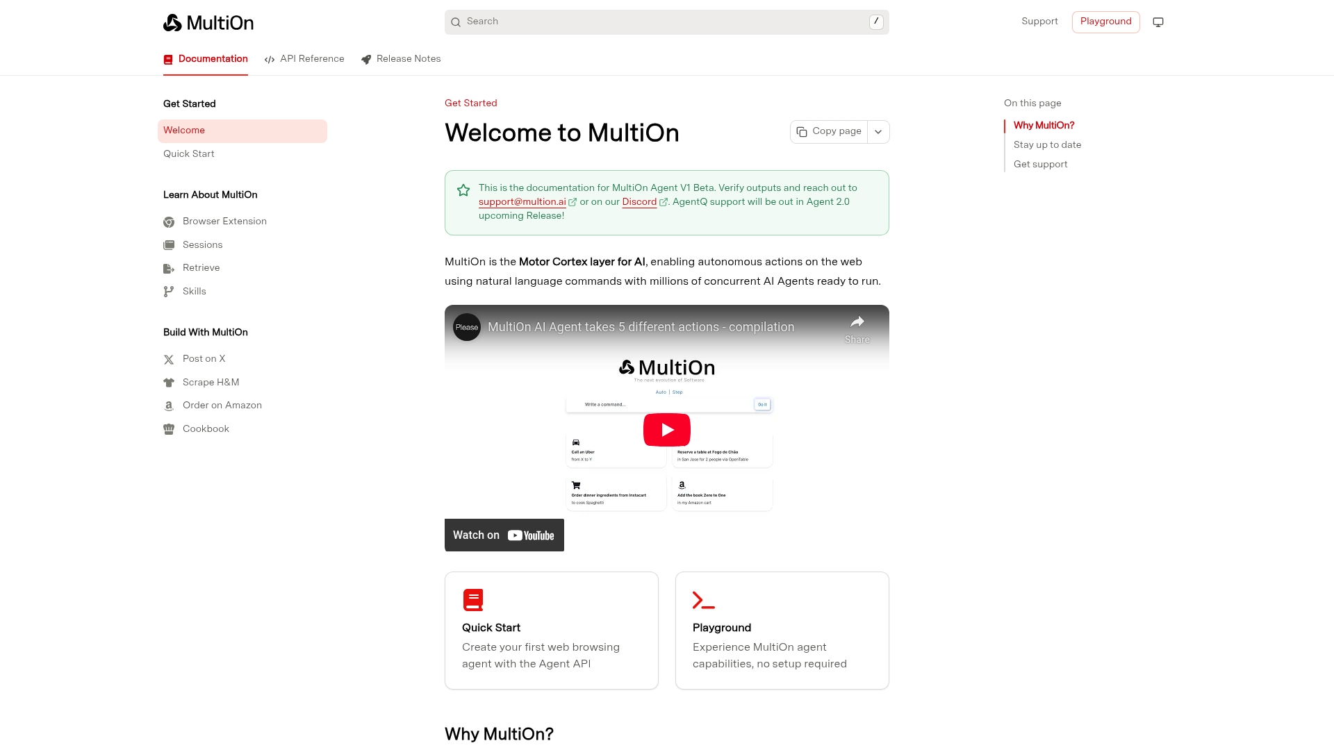 Multion Interface