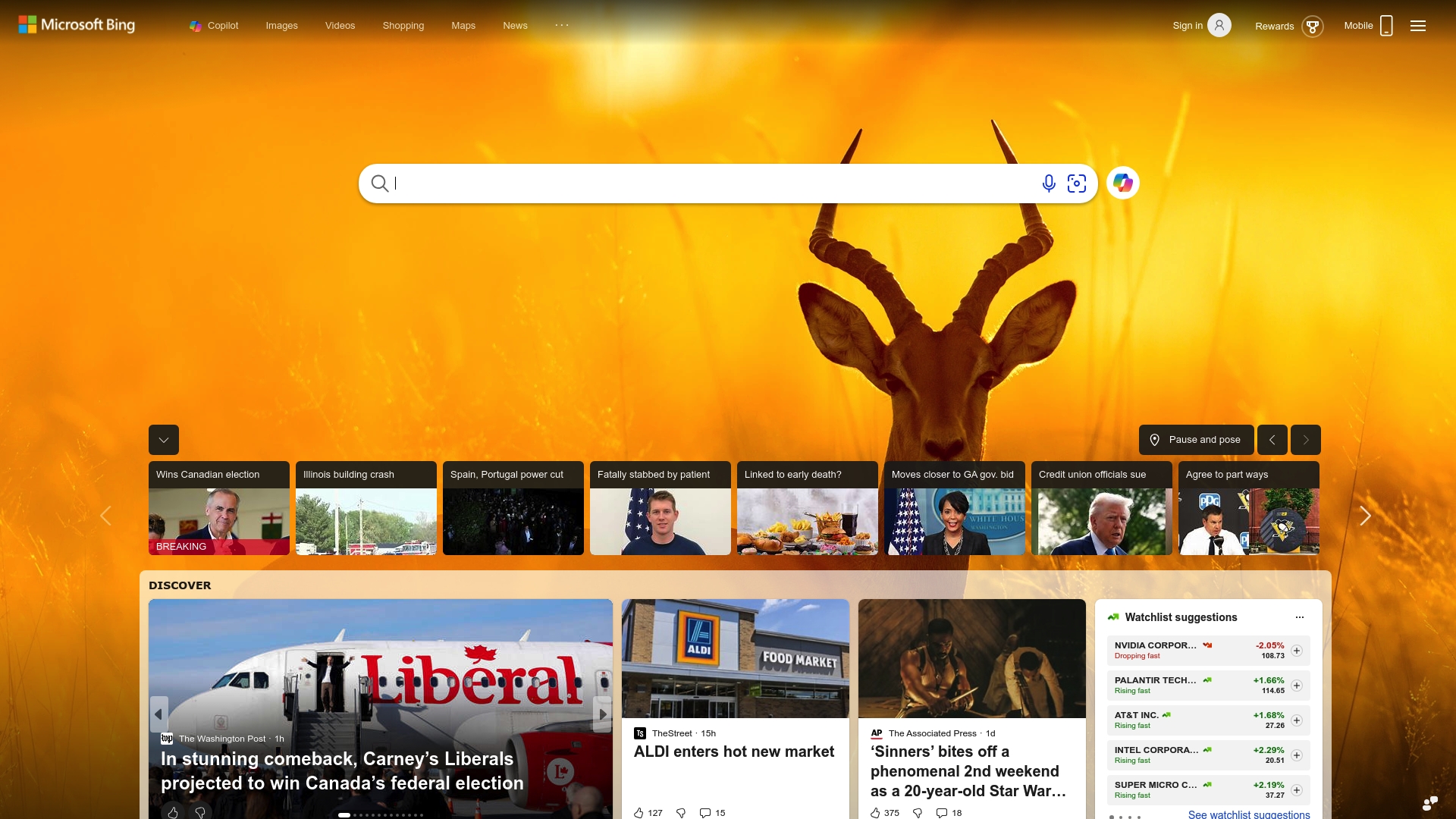 New Bing Interface