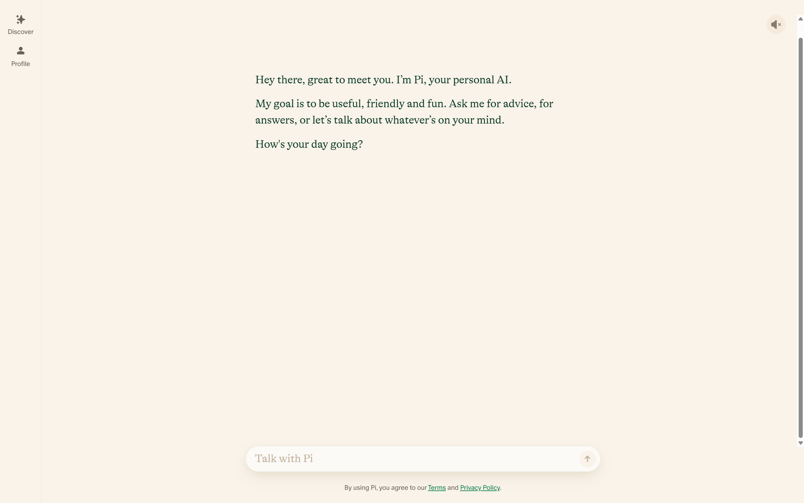 Pi AI Interface